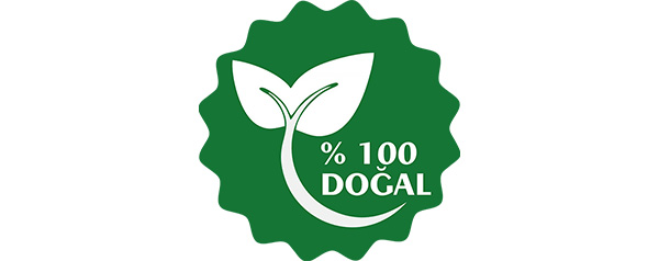 2601d1_6743cd7b04ed4ac096f1b67931c88b39~mv3ds2